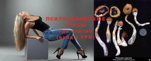 таблы Ельня