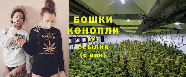 таблы Ельня