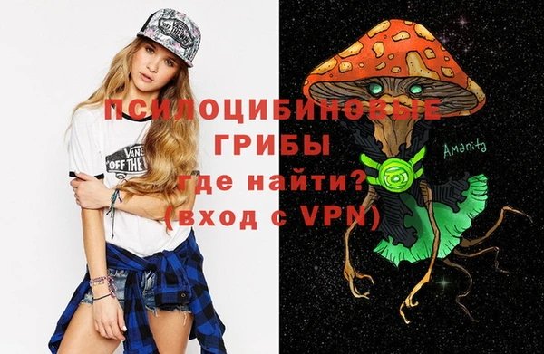 ALPHA PVP Елизово