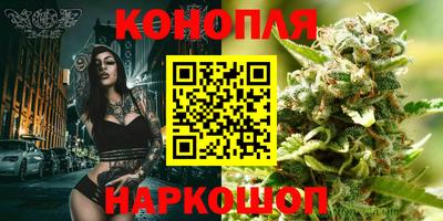 гашик Татарск