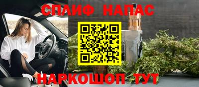 гашик Татарск