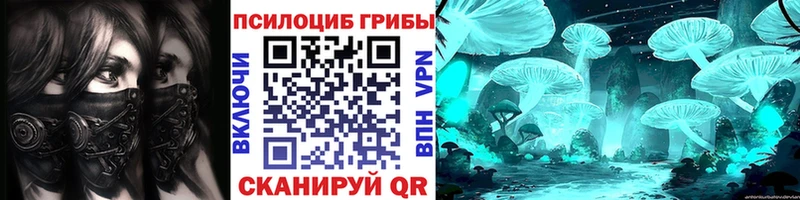 купить наркотики сайты  Павловский Посад  Галлюциногенные грибы GOLDEN TEACHER 
