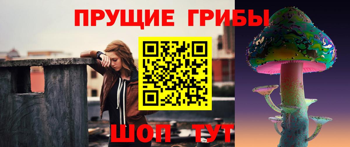 Павловский Посад  Галлюциногенные грибы Psilocybe  Галлюциногенные грибы Magic Shrooms  Вход с VPN 