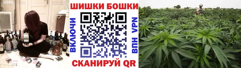Бошки Шишки семена  где продают   Павловский Посад 